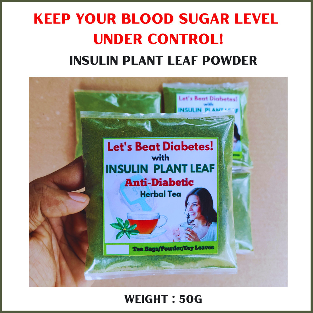 Organic Insulin Plant Leaf Ground Powder Fiery Diabetic Blood Sugar Support Tea