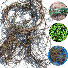 Dried Sarsaparilla Root | Natural Herbal Root | 100% Organic | Free Delivery 🚛