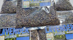 lavanda, flor de lavanda, lavender flower/buds, Alhucema,Lavandula, ansiedad !!!