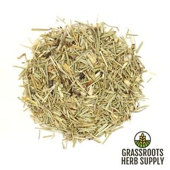 Shavegrass Herb, c/s aka Horsetail (Equisetum arvense)