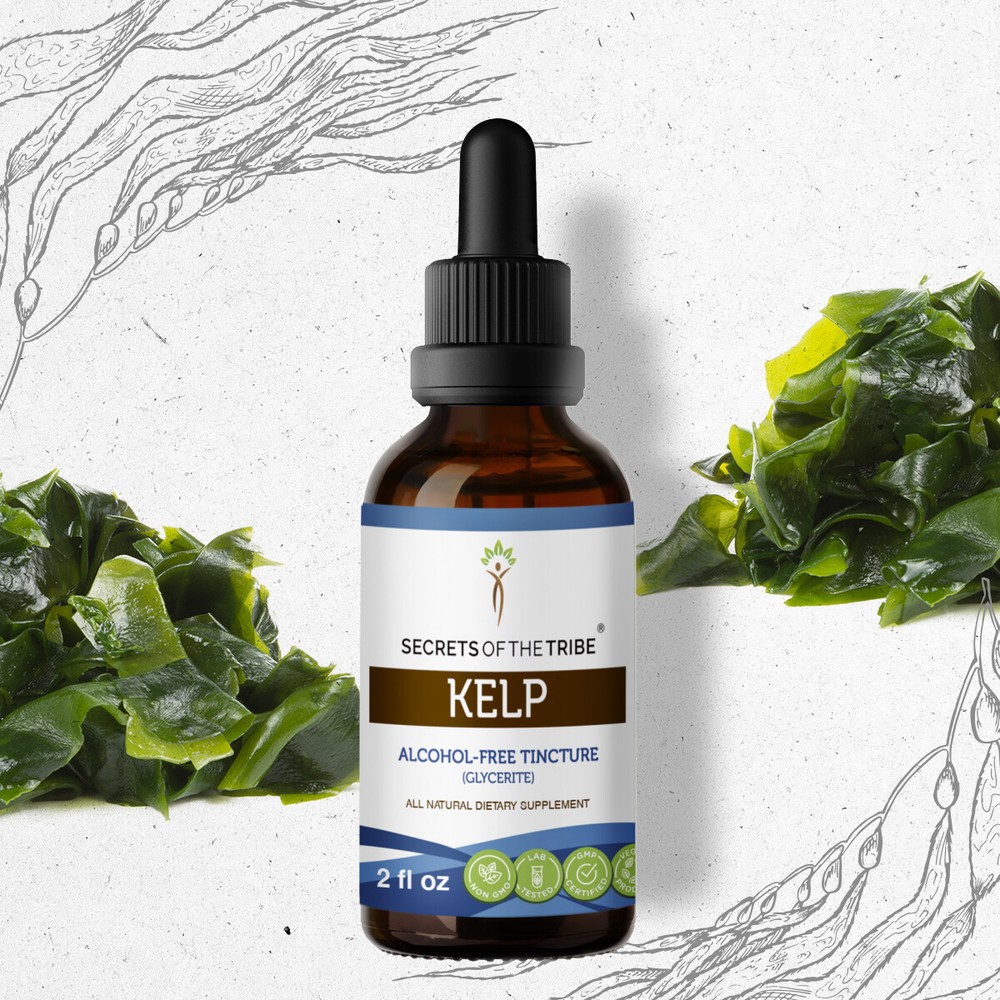 Secrets Of The Tribe Kelp Tincture Alcohol-FREE