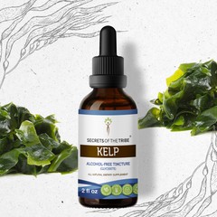 Secrets Of The Tribe Kelp Tincture Alcohol-FREE