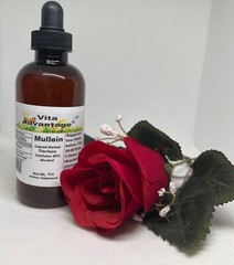 Mullein Liquid Herbal Extract Highest Quality Tincture