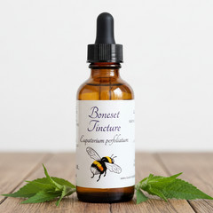 Boneset Tincture, Wild Organic Eupatorium Perfoliatum Herbal Extract