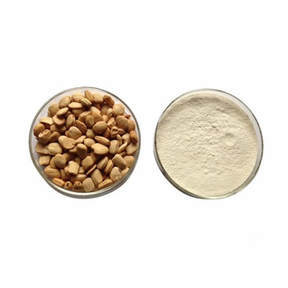Eva Impex Mountain Tamarind Seed Powder – Pahadi Imli