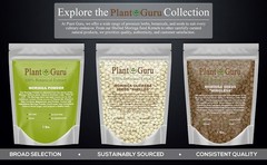 Moringa Seeds Kernel Shelled 16 oz. / 1 lb. – Clean PKM1 Variety – Edible –
