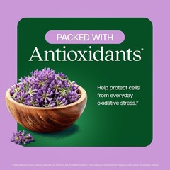 Astragalus Root Extract Capsules 20:1 Immune Support 250 Count