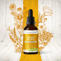 Secrets Of The Tribe Dream Secret Tincture Alcohol-FREE