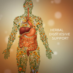 Digestive Support Herbal Blend Gas Bloating Ingestion EASY Liquid Drops USA
