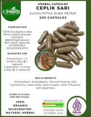 FRESH CAPSULE CEPLIK SARI EUCALYPTUS ALBA REINW NATURAL HERBAL PREMIUM ORGANIC