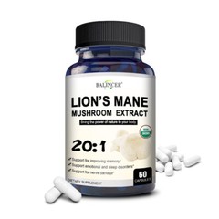 LION’S organic MANE MUSHROOM EXTRACT – BRAIN AND MOOD SUPPORT