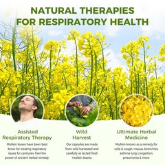 Mullein Leaf Softgels Natural Dietary Supplement for Lung Cleanse Detox 120ct