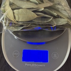 ORGANIC Herbal Loose Dried EUCALYPTUS LEAVES Cold,Flu,Congestion, Natural No GMO