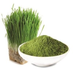 Organic Barley Grass Powder , USDA Certified, Green Vegan Superfood 500g