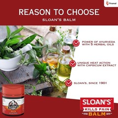 2 x Ayurvedic Balm For Neck Back Knee Muscular Pain 20 gm FREESHIP WORLDWIDE