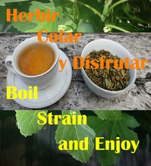 Hojas de Higo, Hojas/hierba de Higuera, Fig Leaves 2oz Natural Organic Mexican !