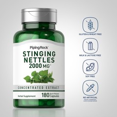 Stinging Nettle Root Extract | 180 Capsules | 2000mg | Non-GMO | by Piping Rock