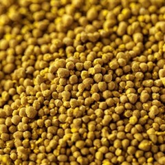 Bee Pollen Granules (Apis mellifica) 1 oz Highest Quality Superfoods – USA