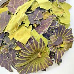 Blue Lotus, Nymphaea caerulea, Organic Leaf ~ Schmerbals Herbals