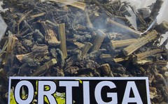 Ortiga, ortiga hierba/te, ortiga mayor, ortiga grande, ortiga comun 4oz, urtica