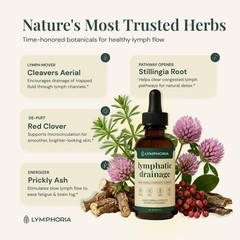 LYMPHORIA Lymphatic Drainage Drops for Bloat Relief & DePuff – Cleavers, Red …