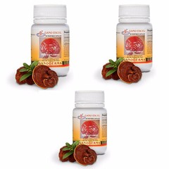 3 Bottle X 30 Caps Gano Excel – Gano Ganoderma Lucidum ORIGINAL