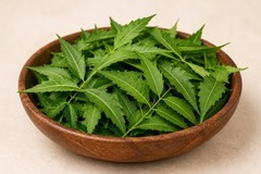 Organic Neem Leaves Dried Natural Neem Leaf Ayurvedic Herb 50g Sri Lanka