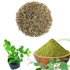 Spinous Fluggea Leucopyrus (Katupila) Powder 40 Tea Bags for Diabetic and Wound