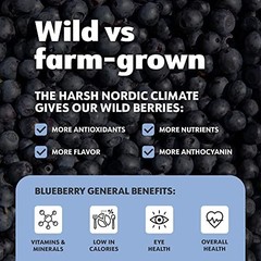 Organic Freeze-Dried Wild Blueberry Powder 6oz Unsweetened Superfood Smoothie