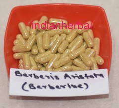 Capsule Organic Berberis Aristata Extract 10:1 Daruhaldi,Berberine