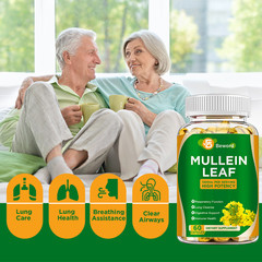 60PCS Mullein Leaf Capsules Lung Cleansing Detox Herbal Dietary Pill Supplement