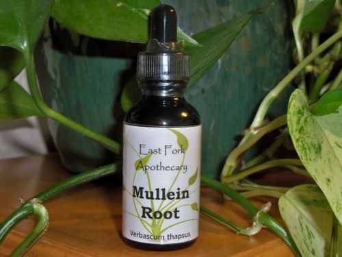 Mullein Root Tincture 2 oz. Wildcrafted