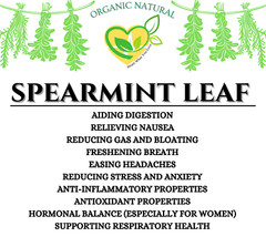 Spearmint Leaf Extract Non-Alcohol Organic Liquid Herbal Drops Digestive Aid 2oz