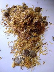 Calendula Flowers (Calendula officinalis) Whole flowers & petals, Organic 1 oz