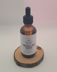 Mexican Mint, Cuban Oregano, Indian Borage, Respiratory System, Fresh Herbal