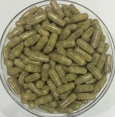 Chamomile Flower Extract Capsules (Matricaria Recutita) APIGENIN For Anxiety