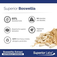 Boswellia Serrata Extract 500mg – 65% Boswellic Acids, Non-GMO, Joint Support, 2