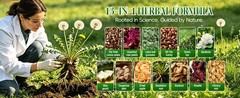Dr. Siana Dandelion Root Tea Bags，Burdock Root Tea & Green Tea，5g x 30 Teabags –