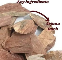Organic Arjuna Bark 400g Namo Organics Arjun Ki Chaal Terminalia Arjuna