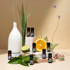 Set de Aceites Esenciales Orgánicos 100% Puros (5x15ml) Aromaterapia Natural