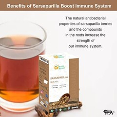 Premium Herbs Botanica Sarsaparilla Root 8oz – Dried, Cut & Sifted