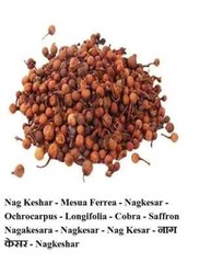 Nag Keshar – Mesua Ferrea – Nagkesar – Ochrocarpus – Longifolia 100 gm
