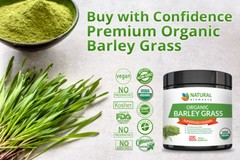 Barley Grass Powder – USDA Certified Organic Barley Grass Powder – Non-GMO