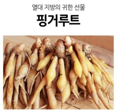 100% Natural Fingerroot Powder 300g Medicinal Korean Herbal Powder NEW 핑거루트