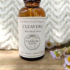 Cleavers Tincture Alcohol Free Galium Aparine Herbal Extract Organic 1 oz