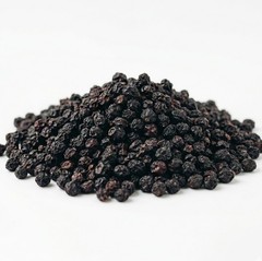 Elderberry (Sambucus nigra) Immune Support – Classic Herb – USA