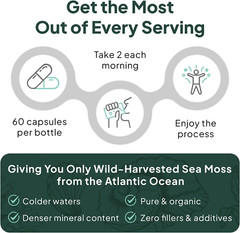Wild Sea Moss Capsules, 100% Organic, Chlorella Bladderwrack Vitamin D, 60 Count