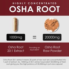 Osha Root Extract 120 Capsules