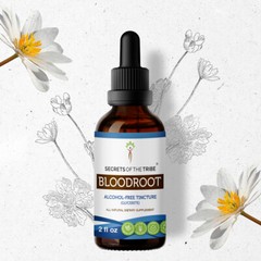 Secrets Of The Tribe Bloodroot Tincture Alcohol-FREE