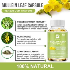 Mullein Leaf Capsules For Lung Cleansing & Detox Herbal Dietary Supplement